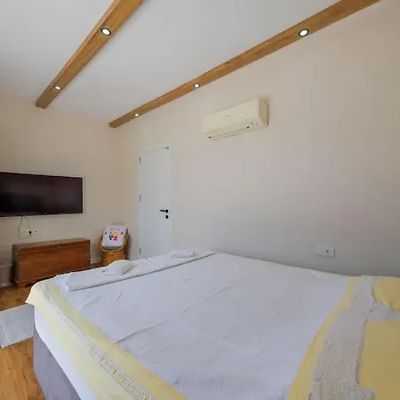 Vila Modern, Havuzlu Lux