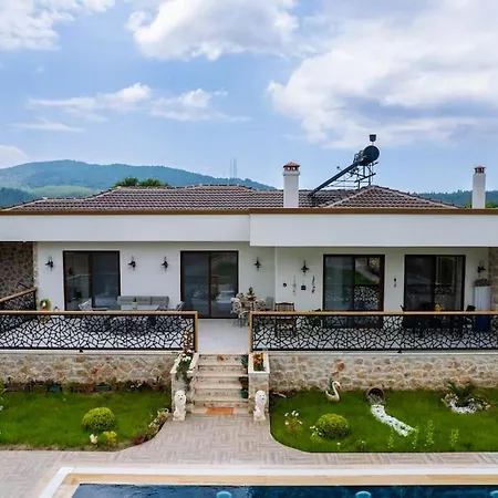 Modern, Havuzlu Lux *