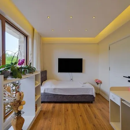 Vila Modern, Havuzlu Lux